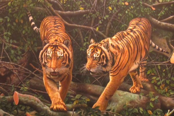 MOngabay Harimau Sumatera new IMG_0810