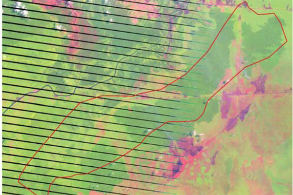 EIA_PTSCP_Forest_briefing_0612_EIA_report_0208.qxd