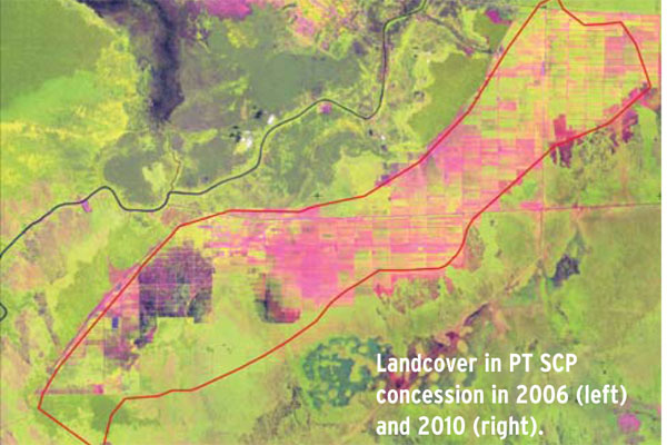 EIA_PTSCP_Forest_briefing_0612_EIA_report_0208.qxd