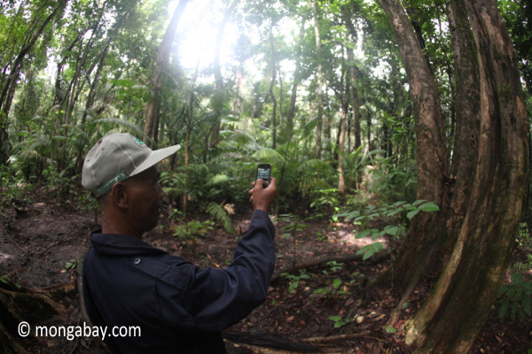 Seorang polisi hutan di Ujung Kulon menggunakan telepon genggamnya untuk melakukan pengawasan hutan. Foto: Rhett A. Butler
