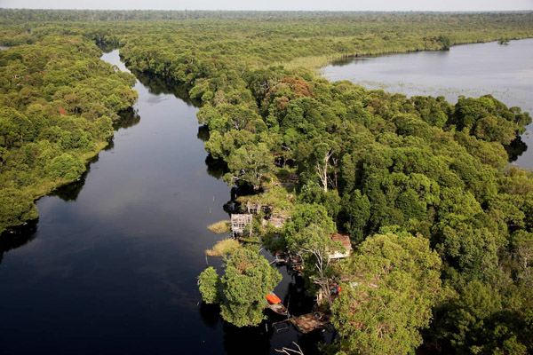 Sisa hutan gambut di Semenanjung Kampar yang tersisa, kini semakin terancam aktivitas penebangan untuk memenuhi kebutuhan pulp and paper. Foto: Greenpeace Indonesia