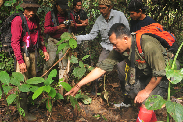 Tim survei baru menemukan jejak tapak badak. Foto: WWF-Indonesia