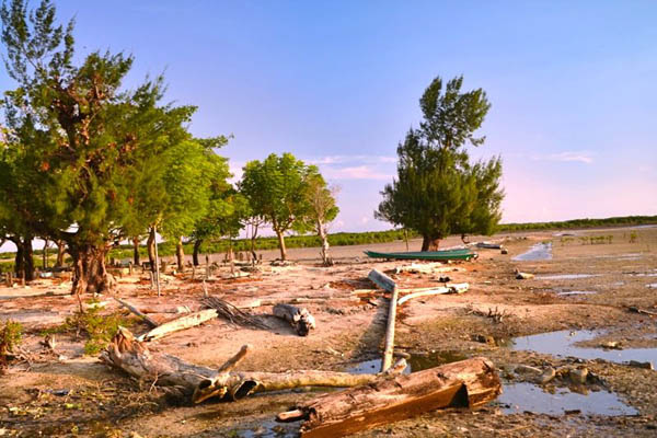 Di Sulsel, dari 214 ribu hektar hutan mangrove tahun 1980-an, tersisa sekitar 20%, atau terdegradasi hingga 80% dalam 30 tahun terakhir. Foto: Wahyu Chandra