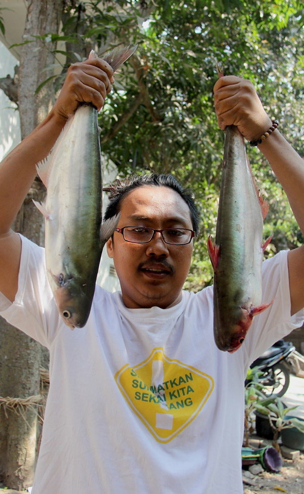 Ikan Jendil (Pengasius micronemus) di Kali Surabaya juga semakin berkurang. Ini adalah dua ekor ikan di Kali Surabaya dari hasil inventarisasi ikan oleh Ecoton dan Inspirasi. Foto: Ecoton