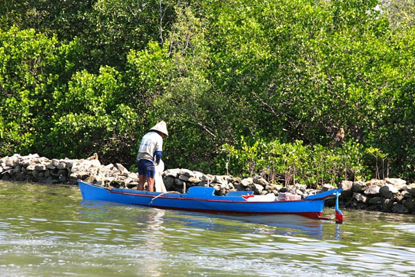 Keberadaan hutan mangrove makin terdegradasi karena dikonversi  menjadi  tambak. Di Sulsel  dalam  30  tahun diperkirakan degradasi mencapai 89 persen. Kebijakan pemerintah dalam mendukung peningkatan produksi tambak dianggap menjadi satu pemicu. Foto: Wahyu Chandra