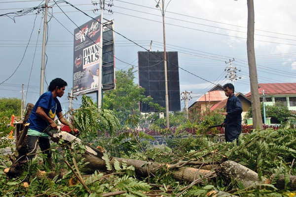 Pohon di taman Kota Palu ditebang, setelah Iwan Fals melakukan penanaman pohon, Sabtu 16 Agustus 2014. Foto: Christopel Paino
