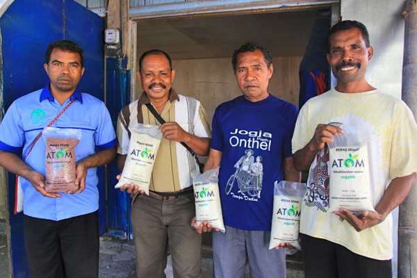 Beras organik yang sehat produksi petani Mbay, sudah dipasarkan ke berbagai daerah. Foto: Anton Muhajir