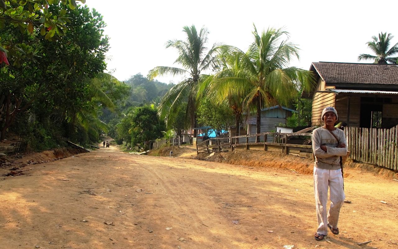 Desa Petebang Jaya: Beginilah suasana di Desa Petebang Jaya, Kecamatan Tumbang Titi, Kabupaten Ketapang, Kalimantan Barat. Sedikitnya 616 jiwa penduduk setempat menggantungkan hidupnya dari hutan. Foto: Andi Fachrizal