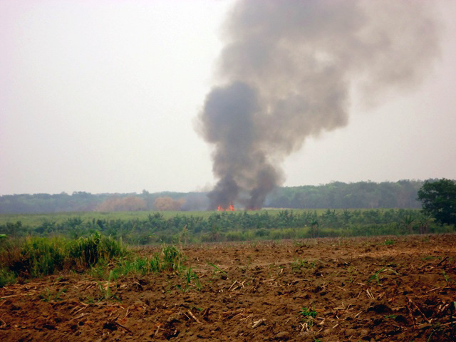 Lahan tebu milik PTPN VII di Rayon II, Desa Burai, Kabupaten Ogan Ilir, yang siap ditanam ini terbakar. Foto Gita Rolis