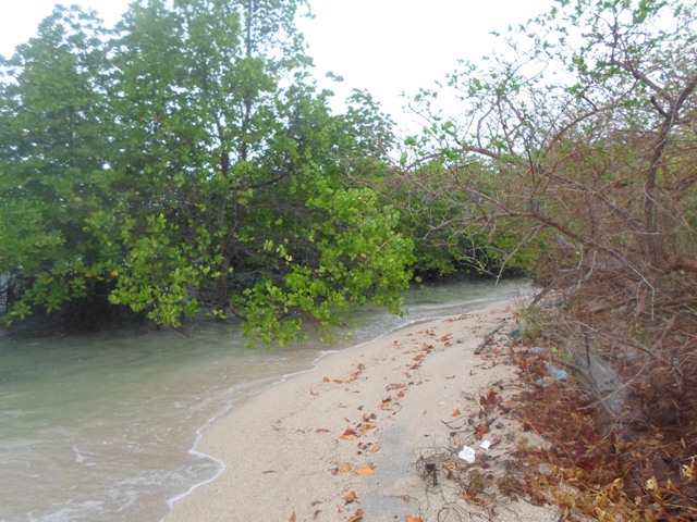 Pulau Maspari