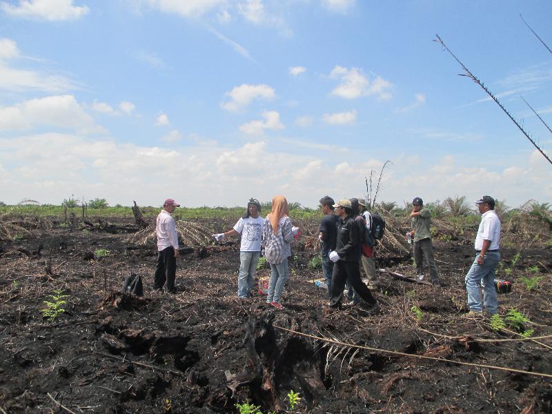 KKI Warsi dan IPB melakukan penelitian dampak karhutla di lahan gambut di Jambi. Foto : KKI Warsi