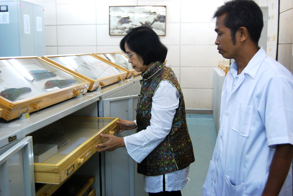 Dewi Malia Prawiradilaga menunjukkan koleksi spesimen burung yang ada di Museum Zoologicum Bogoriense-LIPI. Sekitar seribu spesimen berada di museum ini. Foto: Rahmadi Rahmad