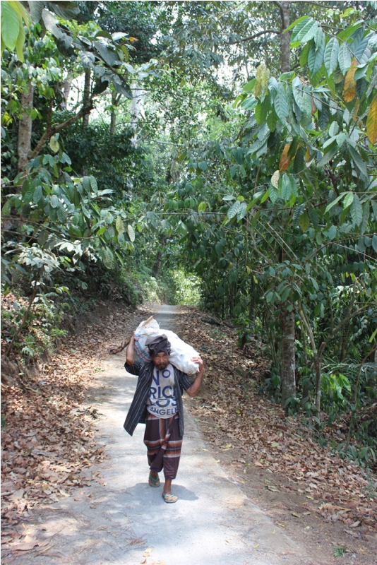 Seorang warga desa Santong yang membawa hasil panen dari Hutan Kemasyarakatan Desa Santong, Kayangan, Lombok Utara, NTB. Foto : Jay Fajar