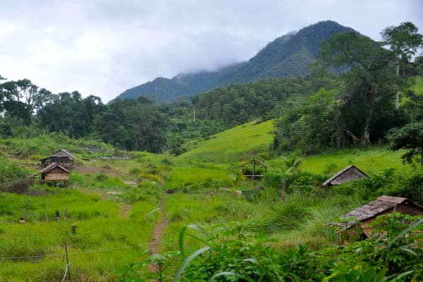 Hutan adat harusnya bisa terlindungi lewat moratoium. Foto: Huma