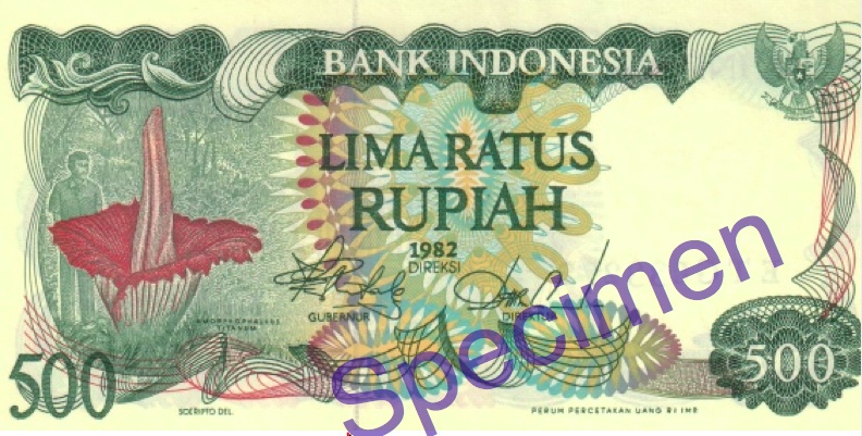 Amorphophallus titanum yang diabadikan dalam uang rupiah Rp500 terbitan 1982. Sumber: Bank Indonesia