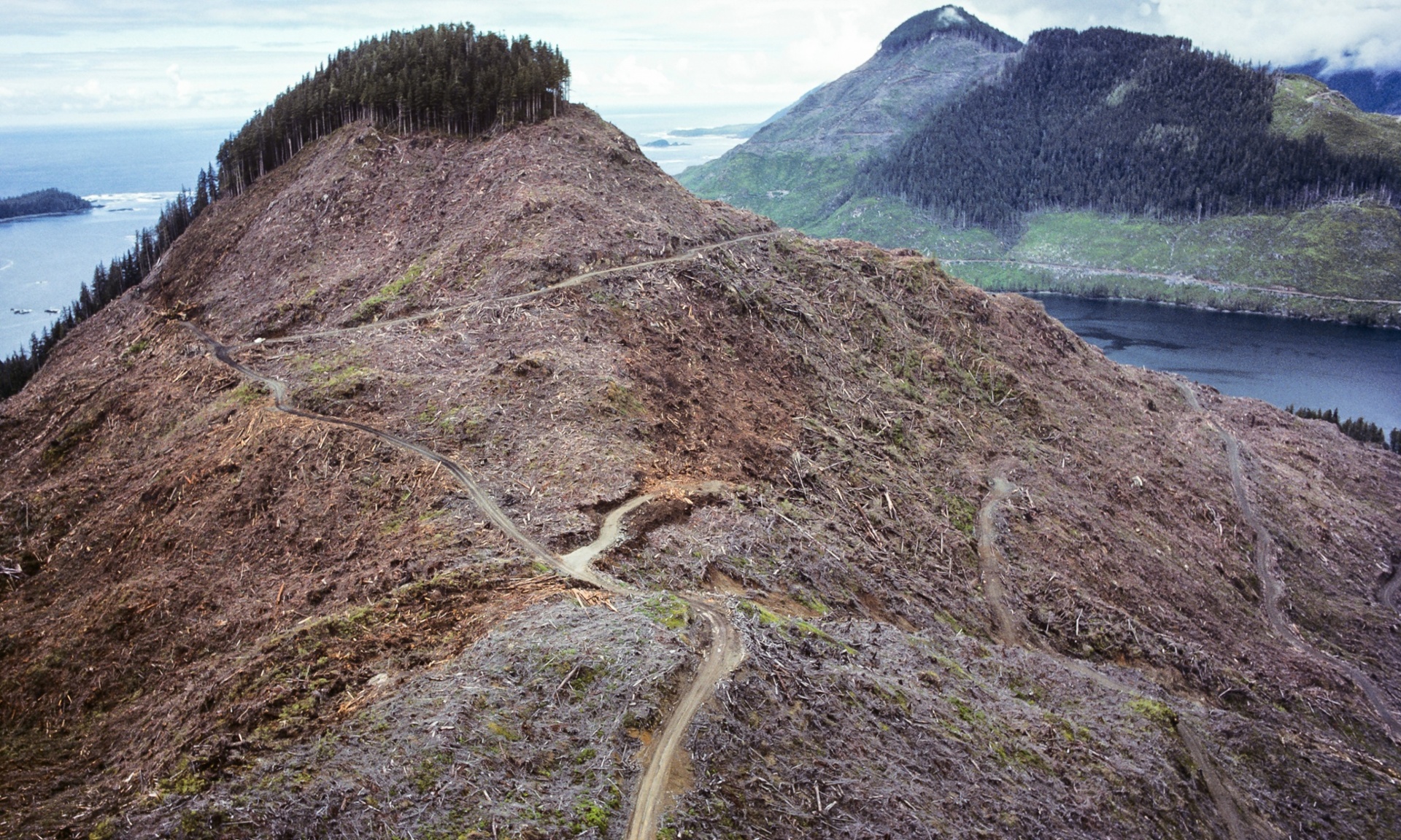 Kanada sering dijuluki “Brazil di utara”, karena seringkali tak bersahabat dengan alam. Terlihat di atas adalah pulau Vancouver yang hutan-hutannya banyak yang gundul - Photograph: Garth Lentz
