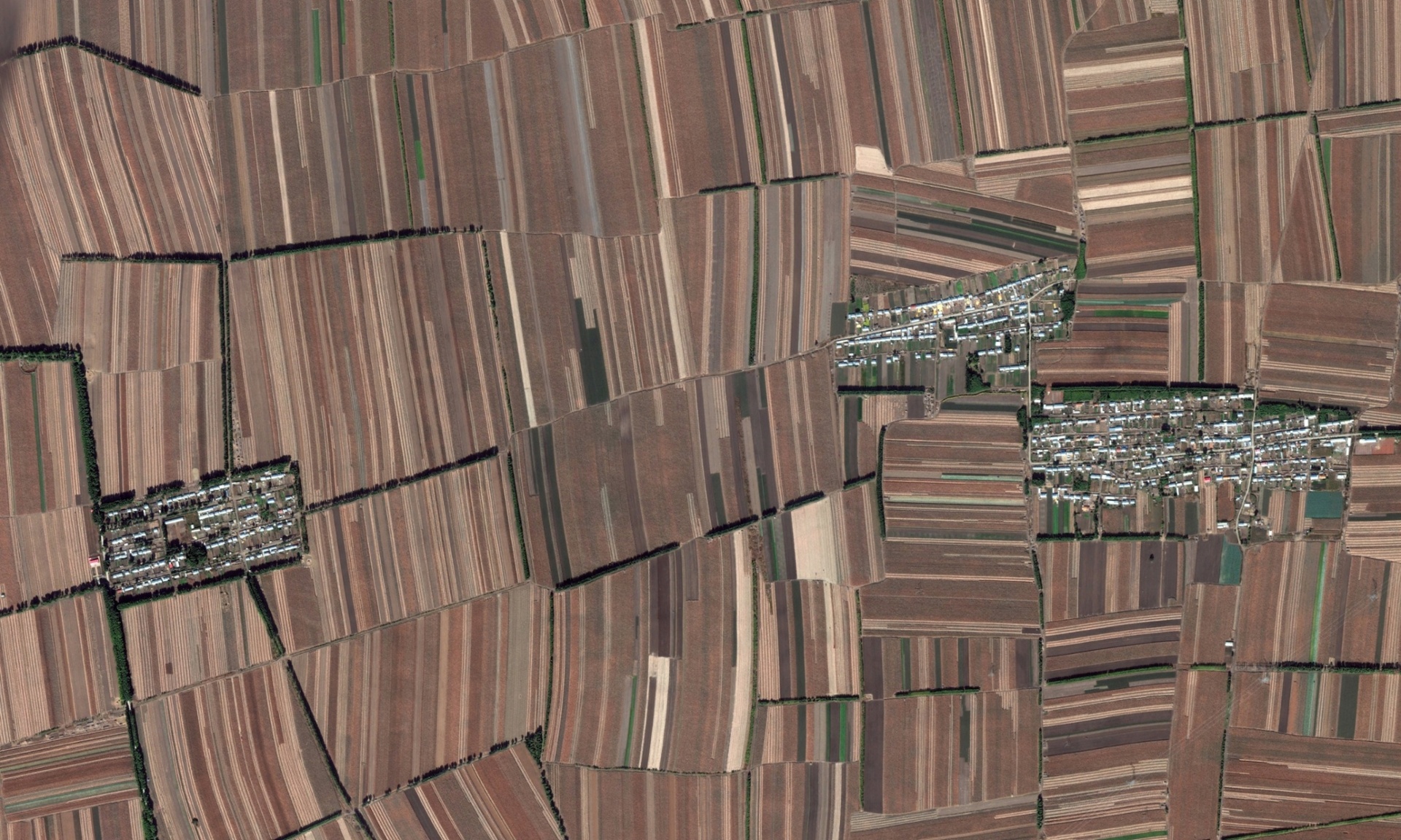 Tak ada ruang untuk alam, seluruh lanskap diperuntukkan untuk pertanian di sebuah kawasan di China. Photograph: Google Earth/2014 Digital Globe