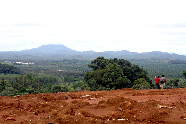 Warga Desa Subah masih memiliki sejumlah perbukitan yang menjadi sumber air bersih untuk diusulkan menjadi hutan adat. Foto: Andi Fachrizal