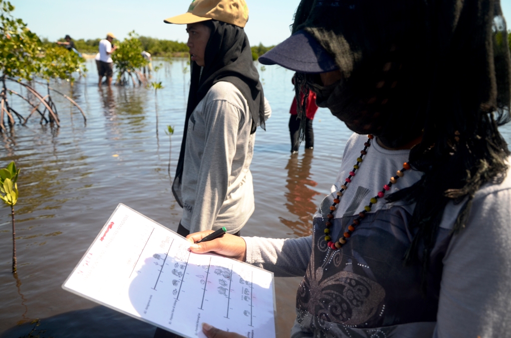 Anggota Womangrove melakukan mointoring rutin berupa pencatatan berbagai aspek mangrove yang telah ditanam, mulai dari kondisi fisik mangrove hingga biota-biota laut yang ada di sekitarnya di perairan Kepulauan Tanakake, Kecamatan Mappakasunggu, Kabupaten Takalar, Sulawesi Selatan. Foto : Wahyu Chandra
