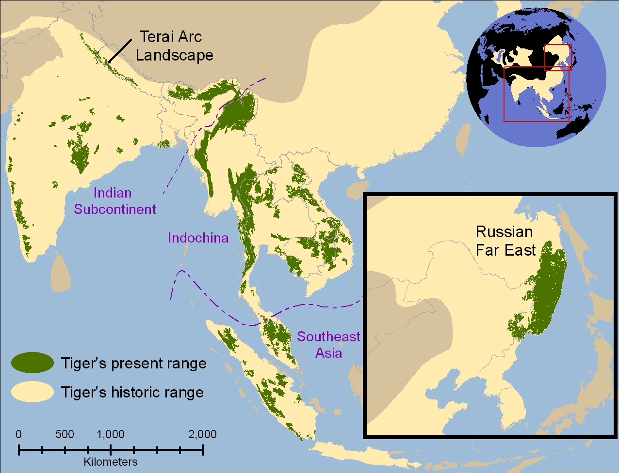 Peta wilayah persebaran harimau dunia dulu dan saat ini. Apakah pernah ada harimau di daratan Kalimantan? Sumber: wikipedia