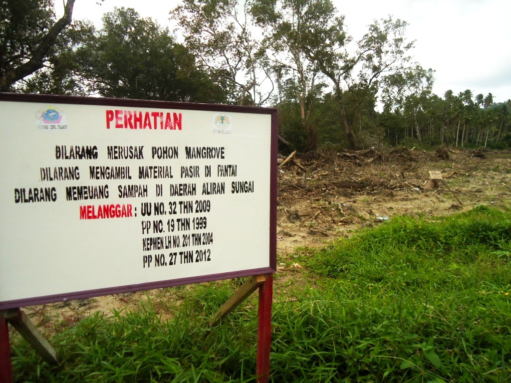 Lokasi pembabatan hutan mangrove di dekat pantai Tambioe, kecamatan Beo Barat, kabupaten Talaud, Sulawesi Utara. Penegakan hukum kasus ini dipertanyakan masyarakat. Foto : Themmy Doaly