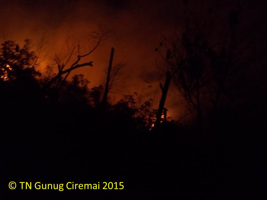Kebakaran yang terjadi di kawasan Taman Nasional Gunung Ciremai (TNGC), Jawa Barat, yang telah terjadi selama sepekan ini. Api sulit dipadamkan karena titik api muncul di ketinggian 2000 mdpl yang menyulitkan upaya pemadaman, selain kurangnya petugas dan air untuk memadamkan. Foto : TNGC
