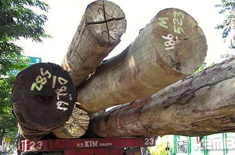 Hasil pantauan kayu-kayu di pelabuhan di Jawa Timur, banyak bongkar muat kayu tak ber-V-Legal. Hingga legalitas kayu yang masuk ke industri dipertanyakan. Apa jadinya, kalau kebijakan ekspor industri mebel kayu dan kerajiban tak wajib SVLK? Foto: Jaringan Pemantau Independen Kehutanan Jatim