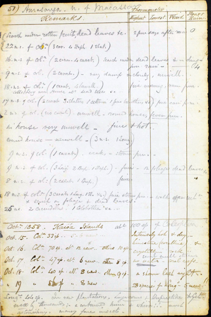 Alfred Russel Wallace's Species Notebook of 1855-1859 (255) 