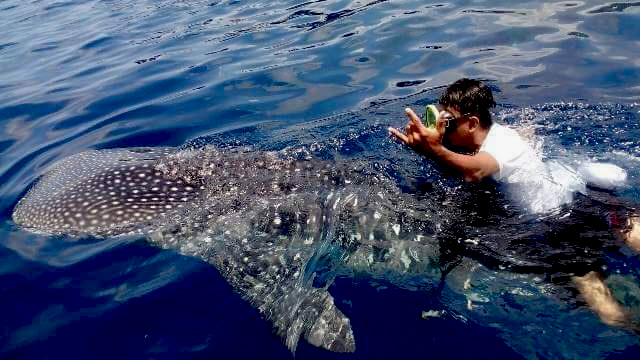 Foto pengunjung yang naik ke punggung hiu paus di Facebook yang dikecam netizen. Sumber foto: Istimewa diambil dari akun Facebook