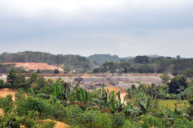 Kehadiran tambang telah merenggut kemakmuran warga Desa Kertabuana. Selain kesulitan air bersih, gagal panen dan kesulitan tanam juga dialami petani. Foto: Yustinus S. Hardjanto