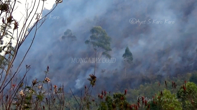 Kebakaran hutan Sipiso Piso, Kabupaten Karo sejak Minggu hingga Senin sore masih terus terjadi menyebabkan asap tebal. Foto: Ayat S Karokaro