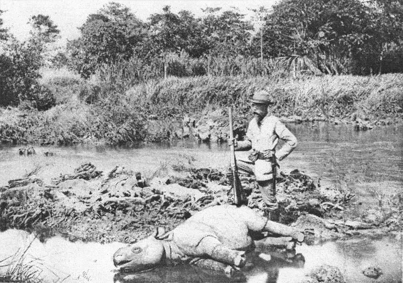 Badak jawa yang mati di tangan pemburu Belanda di Ujung Kulon pada 1895. Sumber: Wikipedia