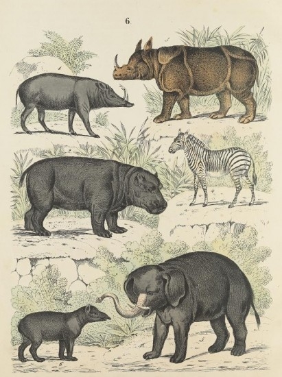 Badak sumatera dan sejumlah satwa liar lainnya yang tergambar jelas pada tahun 1840. Sumber: Rhino Resource Center