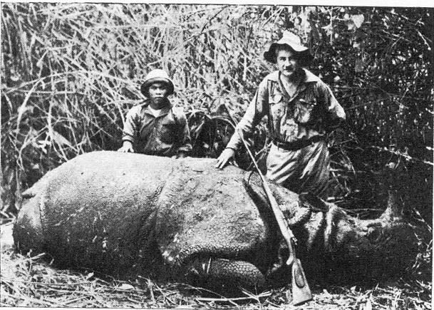 Badak jawa ini yang ditembak mati di wilayah Sindangkerta, Jawa Barat, pada 31 Januari 1934 agar tidak diburu pemburu gelap. Spesimennya berada di Museum Zoologi, Bogor. Sumber: Rhino Resource Center