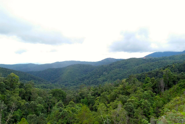 Hutan Nagari Sirukam, Kabupaten Solok. Hutan terjaga dan menyediakan keperluan kehidupan bagi warga sekitar. Foto: Vinolia