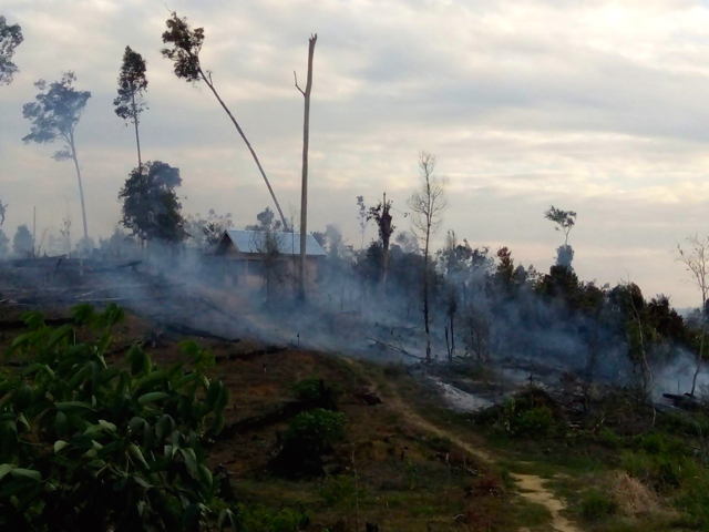 Asap masih mengepul dari hutan lingdung Bukit Betabuh, yang terbakar. Foto: Zamzami