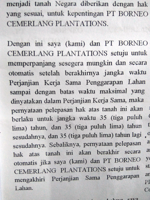 Penggalan bunyi surat kesepakatan penyerahan lahan warga kepada perusahaan sawit, yang kalau dihitung total 100 tahun lebih! 