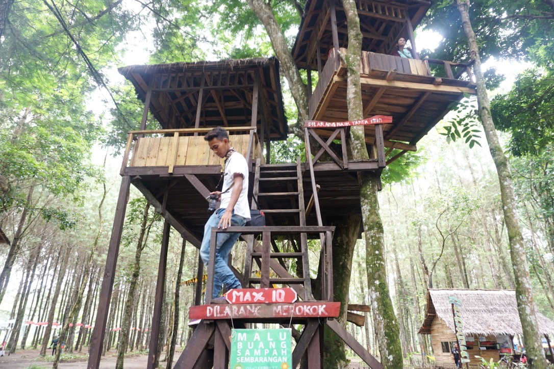Ekowisata Banyuwangi : Dulu Membalak Hutan, Kini justru Melestarikan