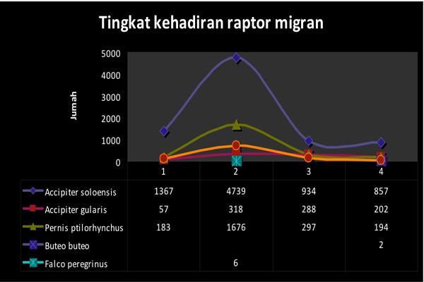 Grafis: Raptor Indonesia