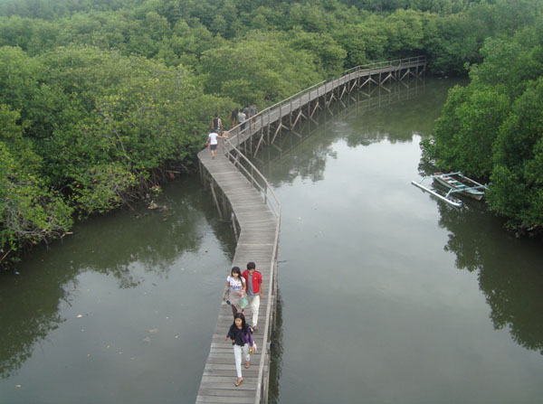 Kawasan mangrove Tahura Ngurah Rai Bali. Foto: Ni Komang Erviani