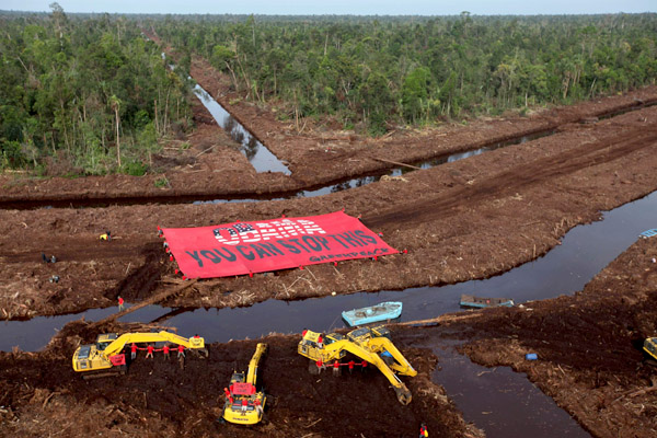 Aksi Greenpeace menentang perusakan hutan di Semenanjung Kampar, Riau tahu n 2009 silam. Foto: Greenpeace Indonesia