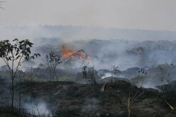 Forest fires in Rokan Hulu.