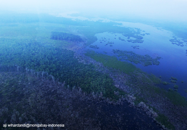 Perambahan di Cagar Biosfer Giam Siak Kecil, Riau. Foto diambil pada 2014. Foto: Aji Wihardandi