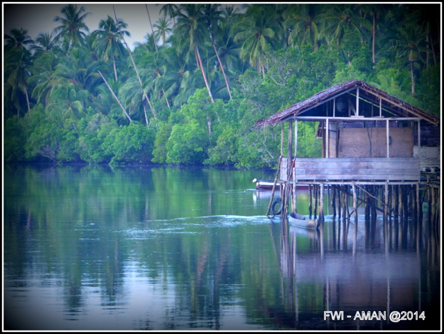 A body of water in Aru, a cluster of about 90 islands in eastern Indonesia. Photo: FWI-AMAN