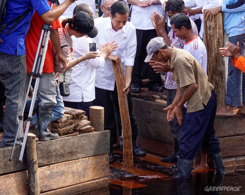 Presiden Jokowi didampingi Abdul Manan dan masyarakat Desa Sei Tohor, Pulau Tebing Tinggi, Riau. secara simbolis menutup dam kanal air untuk melindungi lahan gambut dari kebakaran hutan. Tebing Tinggi merupakan penghasil sagu terbesar di Indonesia. Foto : Ardiles rante / Greenpeace