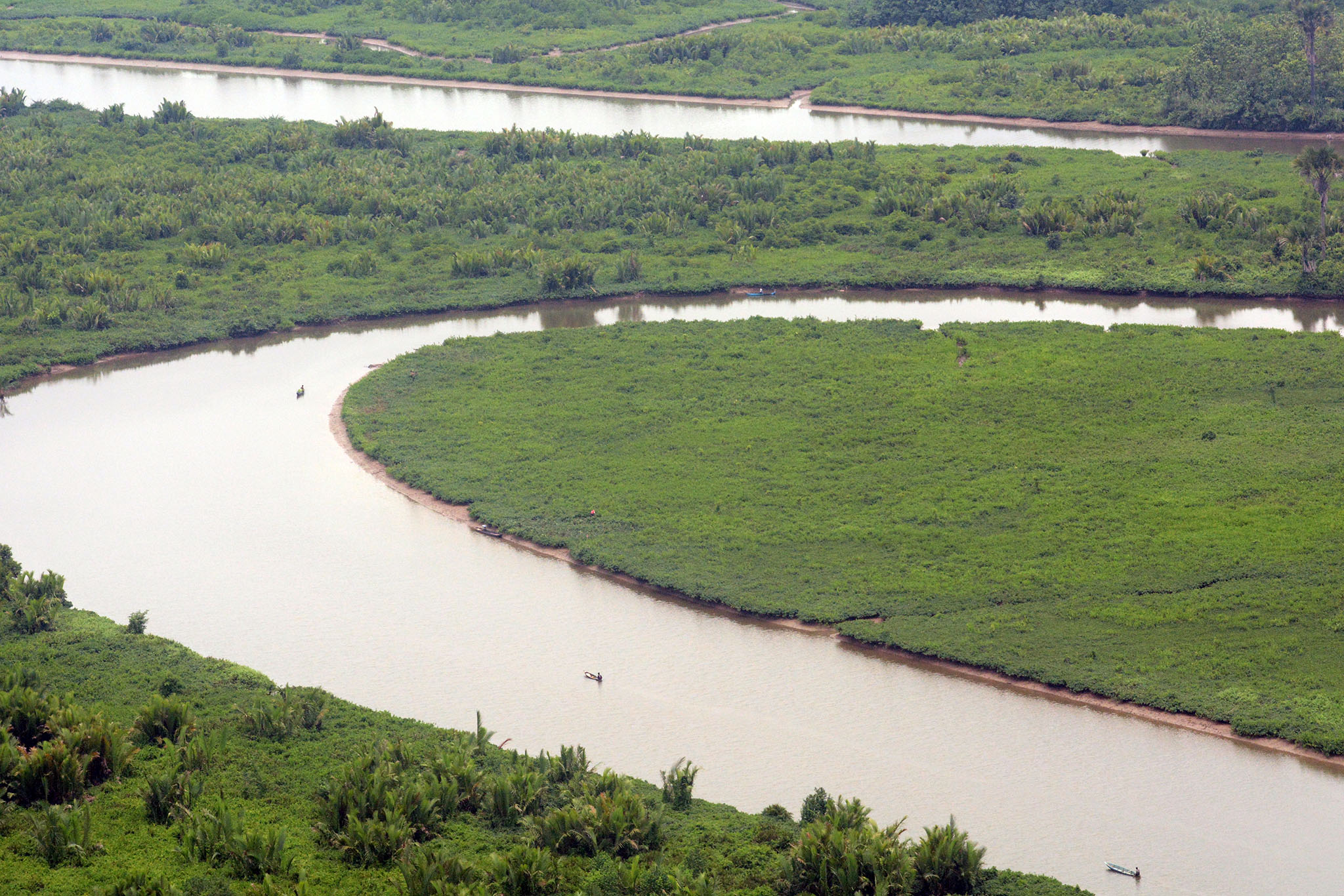 Merawat Mangrove Segara Anakan Menuai Rezeki Perikanan Merawat Mangrove Segara Anakan Menuai Rezeki Perikanan