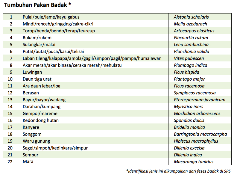 Sumber: Mongabay Indonesia