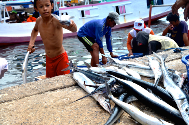 Sebagian nelayan masih melihat anak-anaknya sebagai tenaga kerja potensial membantu mereka menjadi buruh di pelabuhan. Kini sebagian besar mereka telah bersekolah melalui berbagai upaya penyadaran Nuraeni dan anggota kelompok Fatima Az-Zahra lain.Foto: Wahyu Chandra
