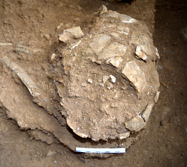 Temuan tengkorak di Leang Bala Metti, Kecamatan BontoCai, Kabupaten Bone, Sulawesi Selatan. Foto: dokumen Balai Arkeologi Makassar