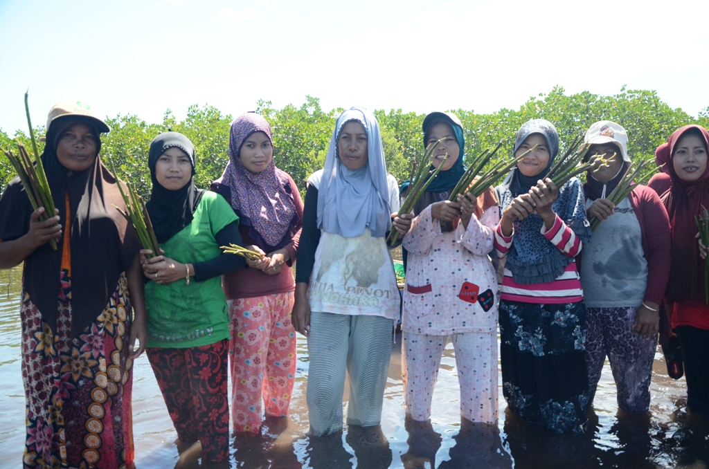 Perempuan Womangrove dari beragam usia dan pendidikan. Mereka berbaur dalam misi yang sama menghijaukan kembali Tanakeke, Mappakasunggu, Takalar, Sulawesi Selatan seperti kondisi semula sebelum rusak oleh hadirnya tambak. Foto : Wahyu Chandra